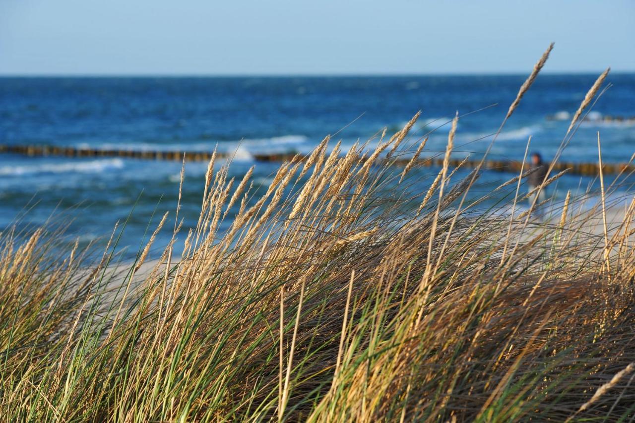 Seestr_54 Nr_304 Zingst Bagian luar foto
