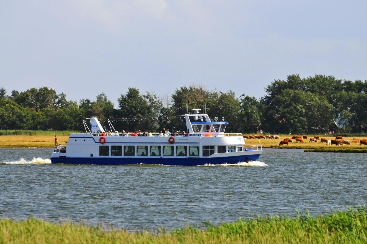 Seestr_54 Nr_304 Zingst Bagian luar foto