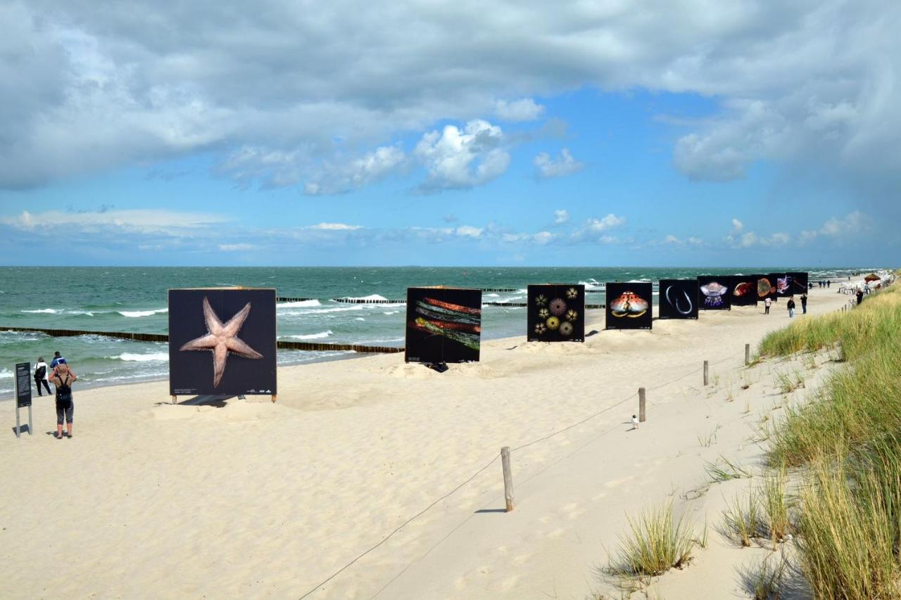 Seestr_54 Nr_304 Zingst Bagian luar foto
